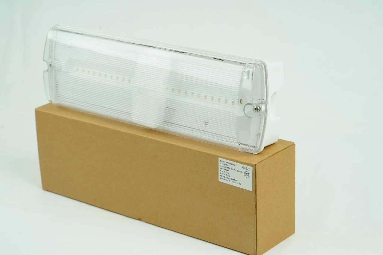 Emergency Path Lighting, Escape Route Lighting, Exit, Emergency Exit Light, Esca